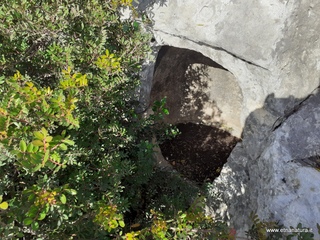 traro-30-12-2021 11-56-48